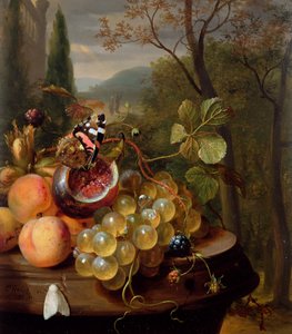 Still Life with Fruit and Butterflies
